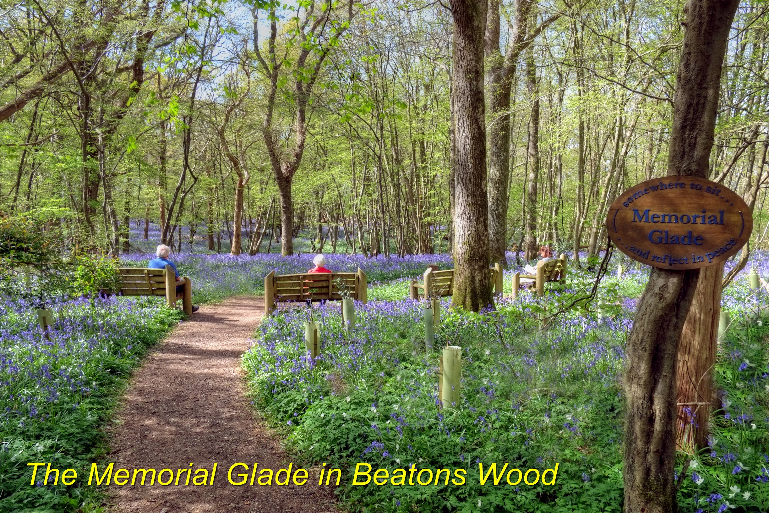 Memorial Glade